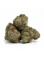 Tropical Mango – Bild 2
