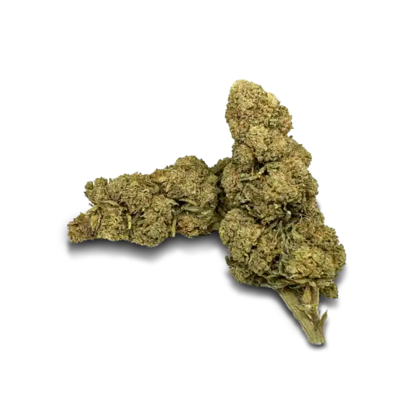 Orange Bud 1g