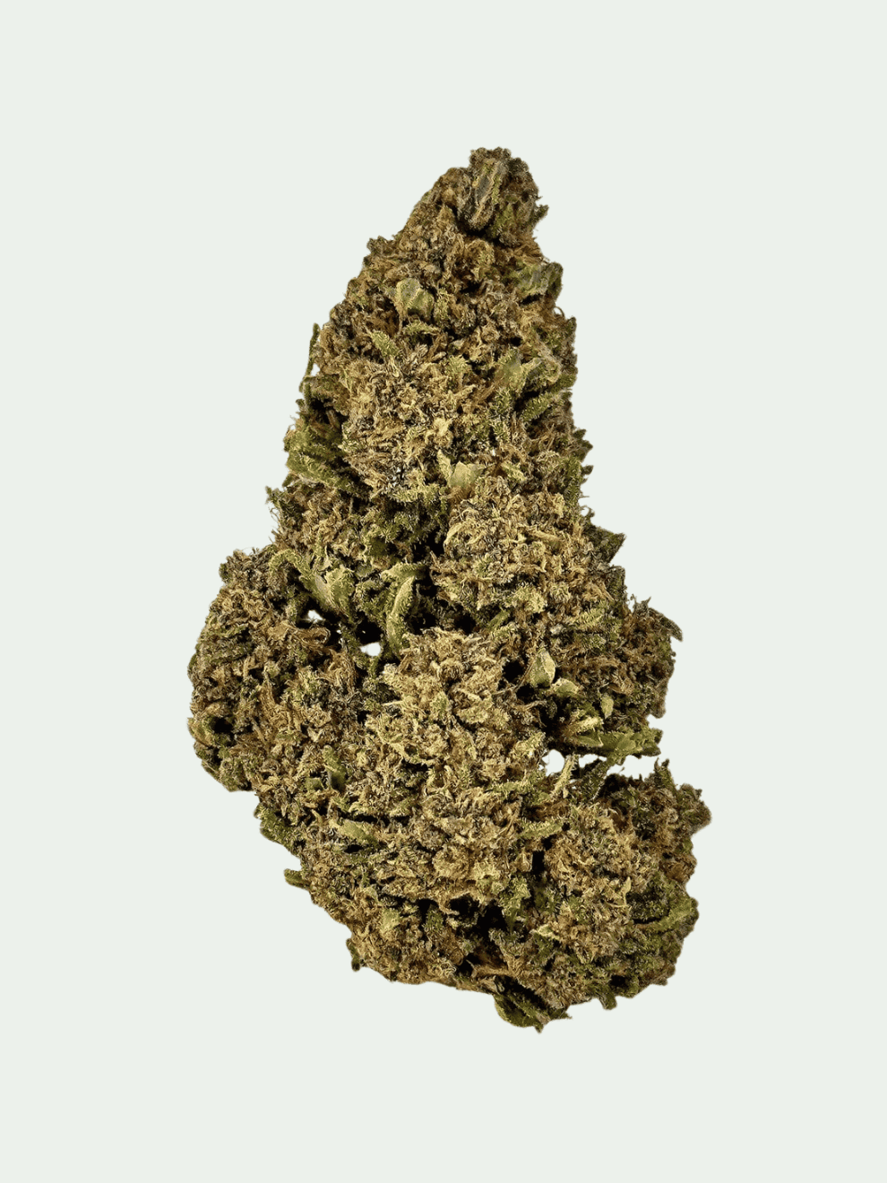 Lime Purple (19) Amnesia Haze 1g – Bild 1