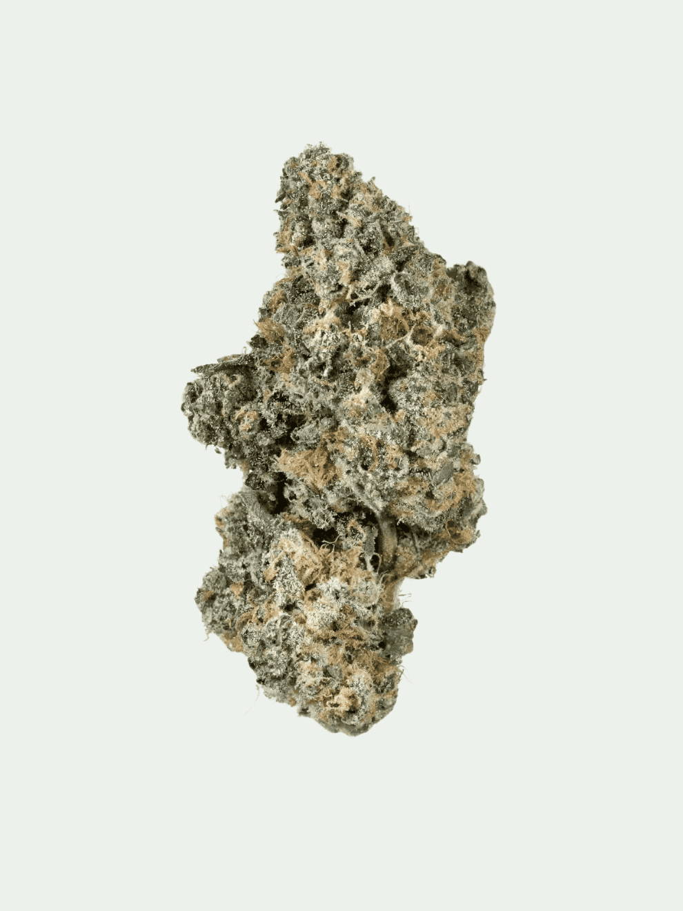 Lime Purple (33) Bathera 1g – Bild 1