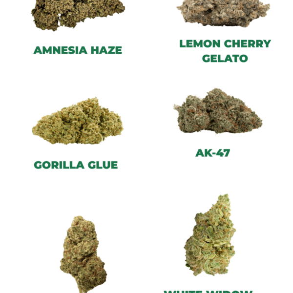 THC Probier Set