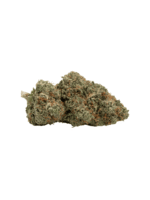 Tropical Mango
