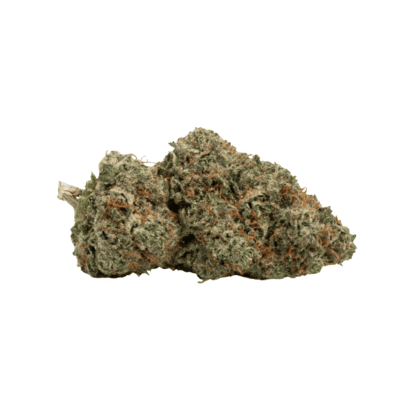 Tropical Mango