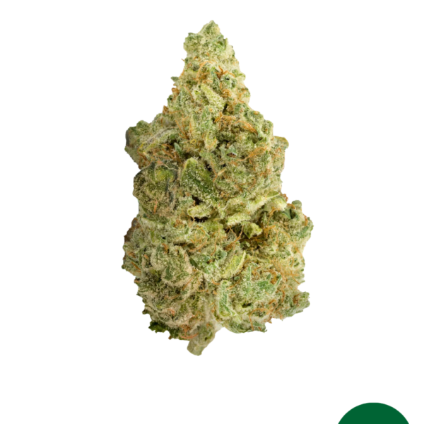 White Widow